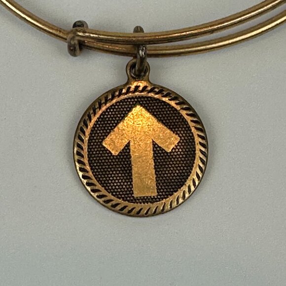 2 - Alex And Ani Gold Finish Bangle Bracelet Quill Feather & Stand Up To Cancer - Picture 5 of 8